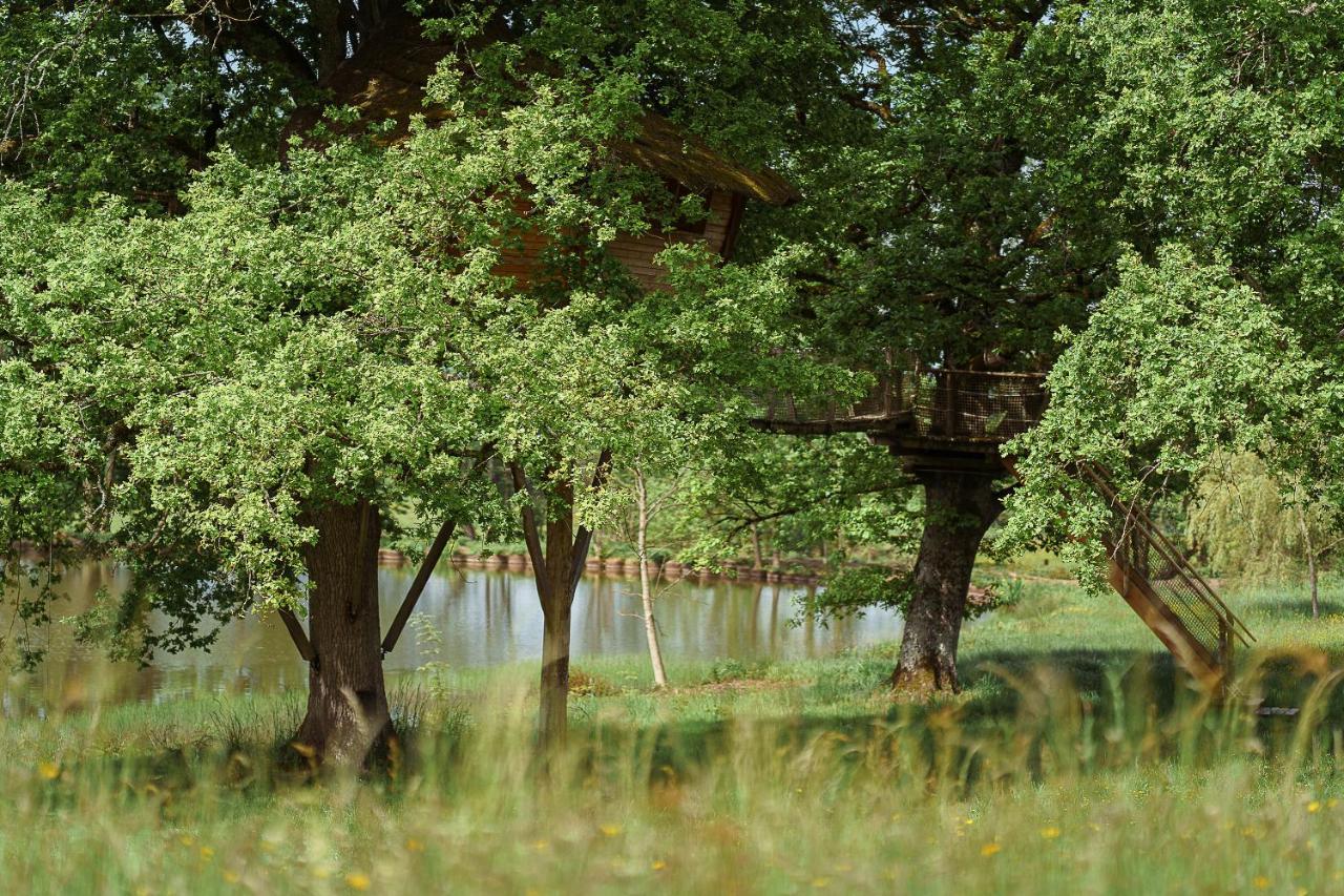 Cabane Perchée dans les Arbres Saint-Hilaire-en-Morvan Esterno foto