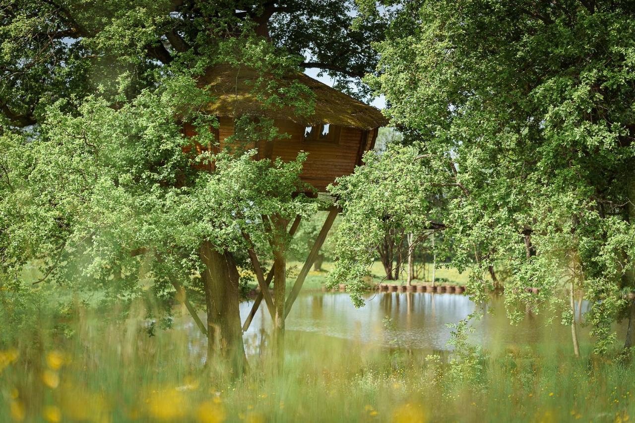 Cabane Perchée dans les Arbres Saint-Hilaire-en-Morvan Esterno foto