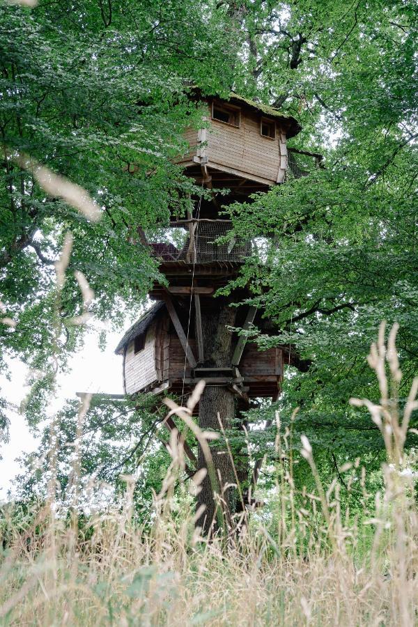 Cabane Perchée dans les Arbres Saint-Hilaire-en-Morvan Esterno foto