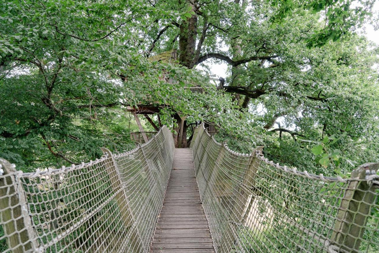 Cabane Perchée dans les Arbres Saint-Hilaire-en-Morvan Esterno foto