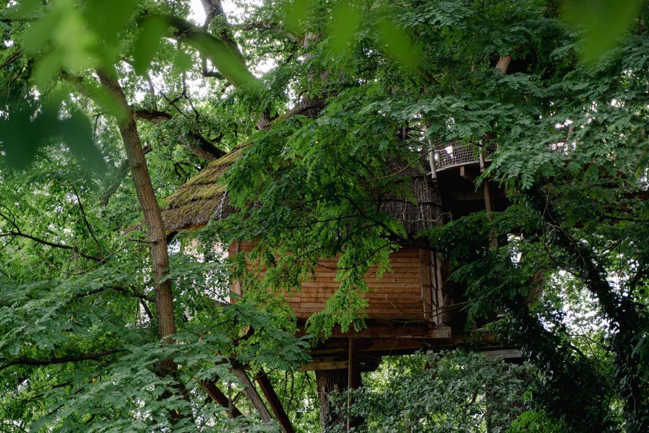 Cabane Perchée dans les Arbres Saint-Hilaire-en-Morvan Esterno foto