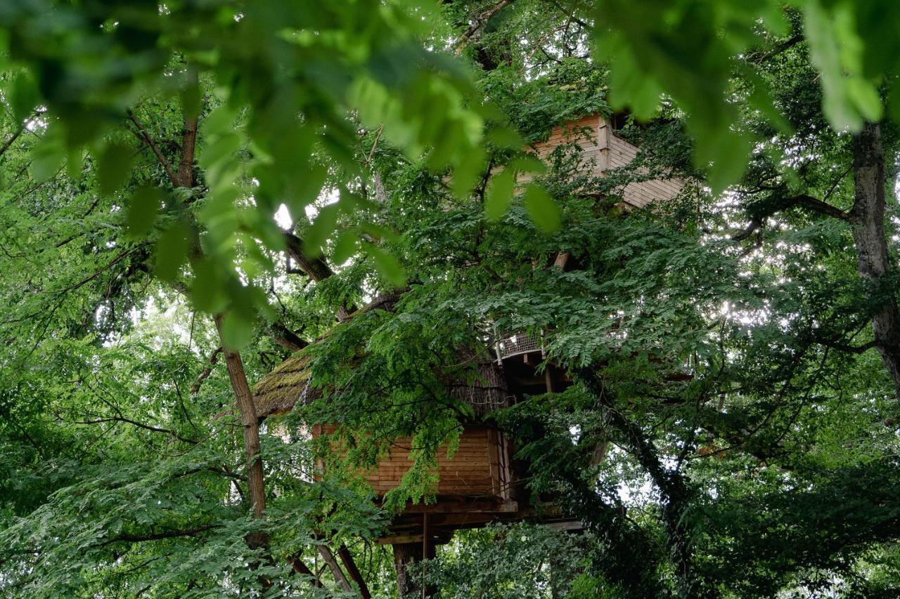 Cabane Perchée dans les Arbres Saint-Hilaire-en-Morvan Esterno foto